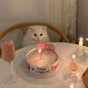 Meet your Posher, Lamis